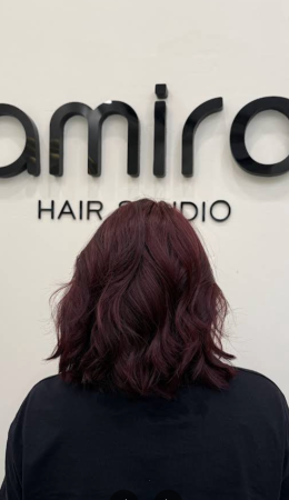 Khách phản hồi 